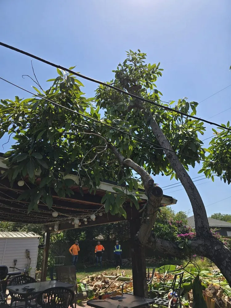 Reliable garden landscaping in Long Beach, CA - Adrian's Tree Service