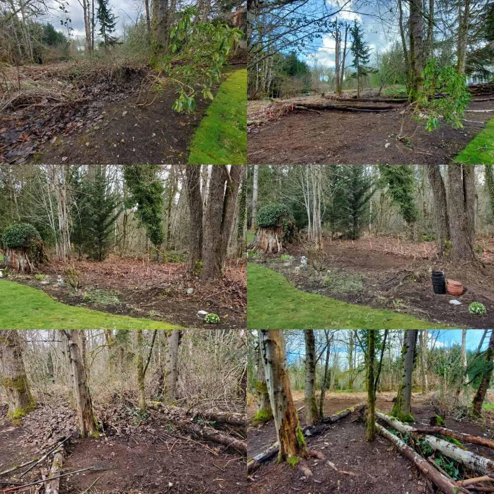 Top-rated yard maintenance near you across Monroe, WA - Adriel Huerta