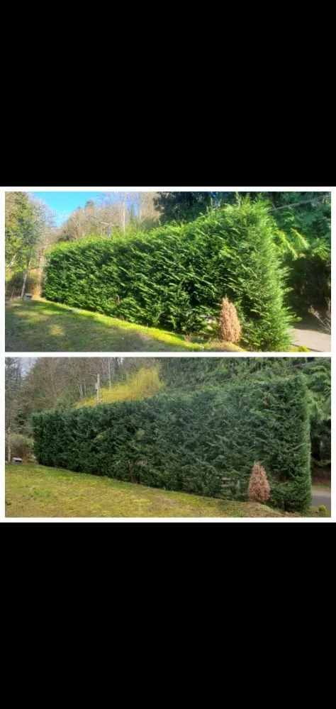 Trusted yard maintenance experts serving Monroe, WA - Adriel Huerta