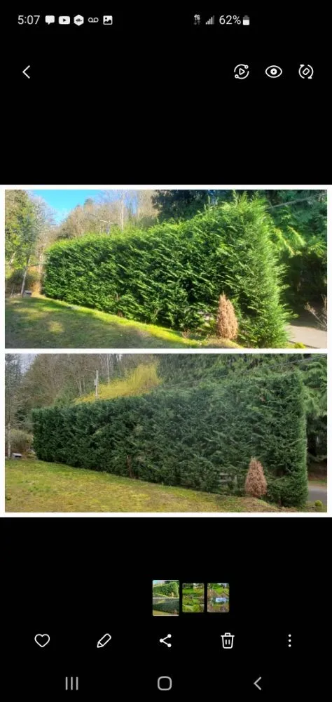 Reliable yard maintenance for homes across Monroe, WA - Adriel Huerta