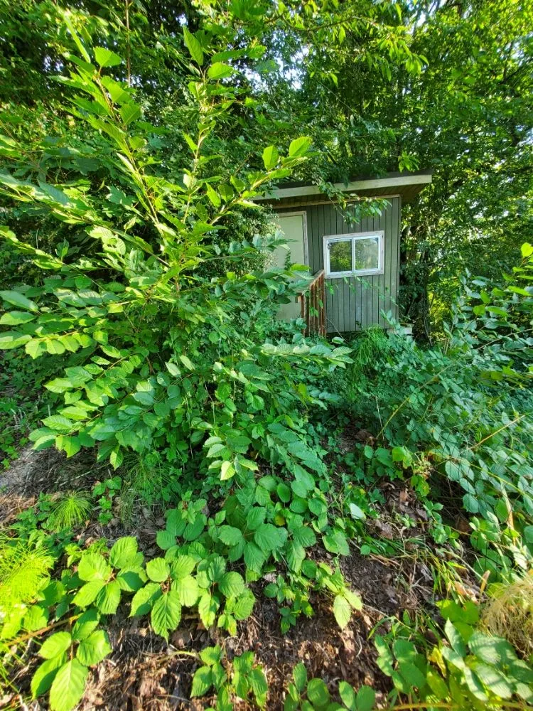 Trusted outdoor landscaping for homes across Monroe, WA - Adriel Huerta