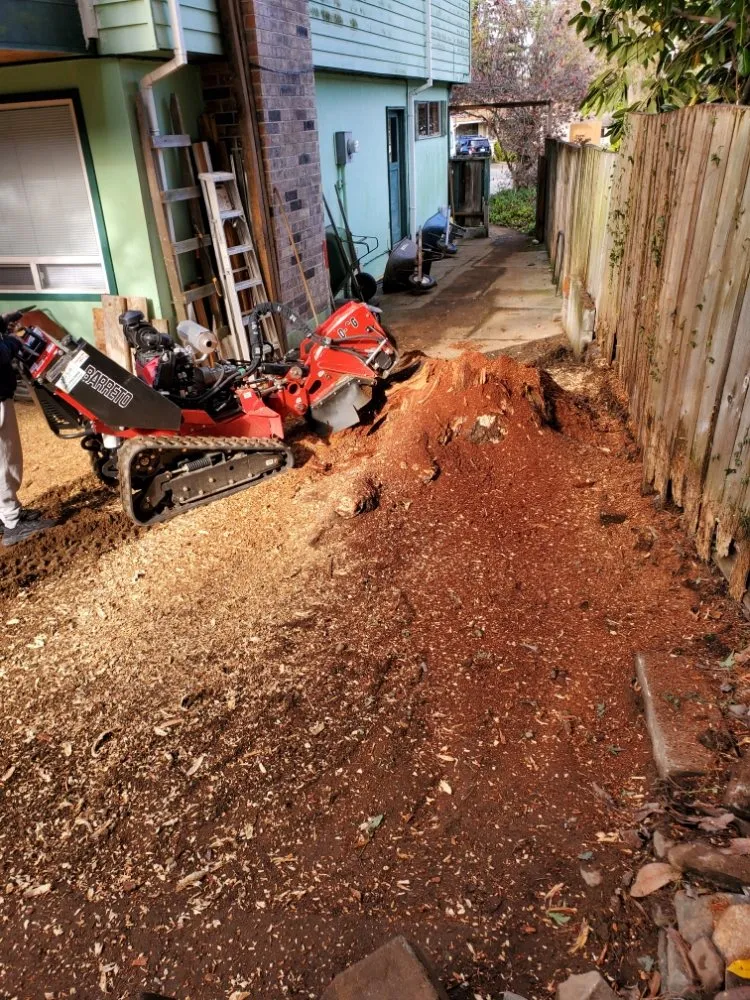 Top-rated outdoor landscaping for residential properties in Monroe, WA by Adriel Huerta