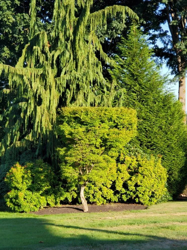 Top-rated lawn care service in Monroe, WA - Adriel Huerta