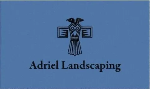 Custom landscape design in Scottsdale, AZ by Adriel Landscaping and Maintenance