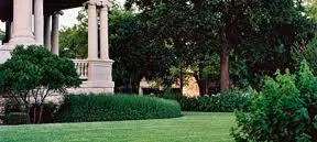 Expert landscape installation in Dripping Springs, TX - ADS Lake Pump Austin Dive Specialist