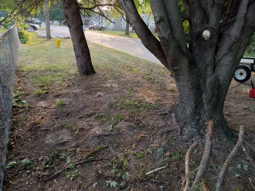 Local landscape installation experts serving Ypsilanti, MI - ADS Lawncare and Snow Removal