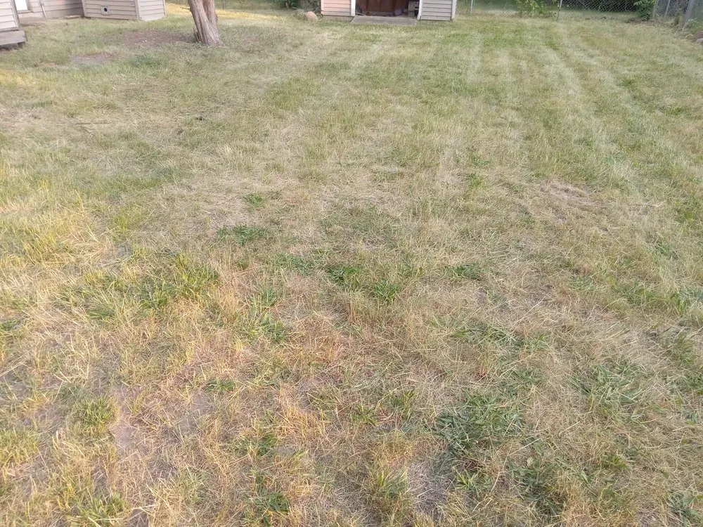 Reliable outdoor landscaping near you across Ypsilanti, MI - ADS Lawncare and Snow Removal