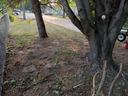 ADS Lawncare and Snow Removal Logo