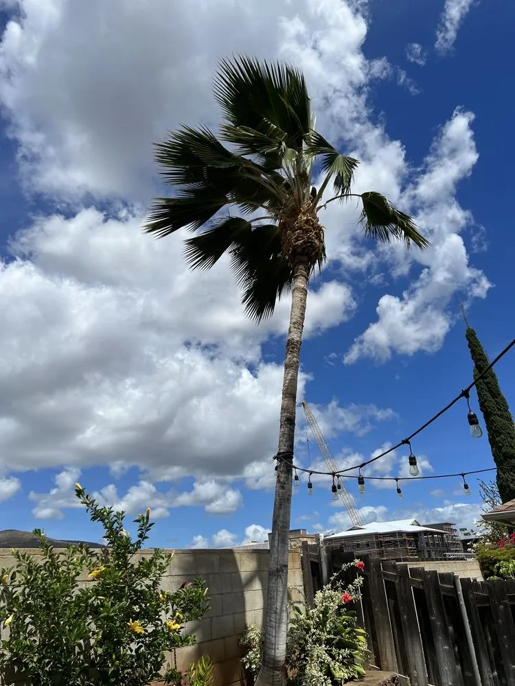 Expert landscaping services for residential properties in Ewa Beach, HI by AD's Yard Services