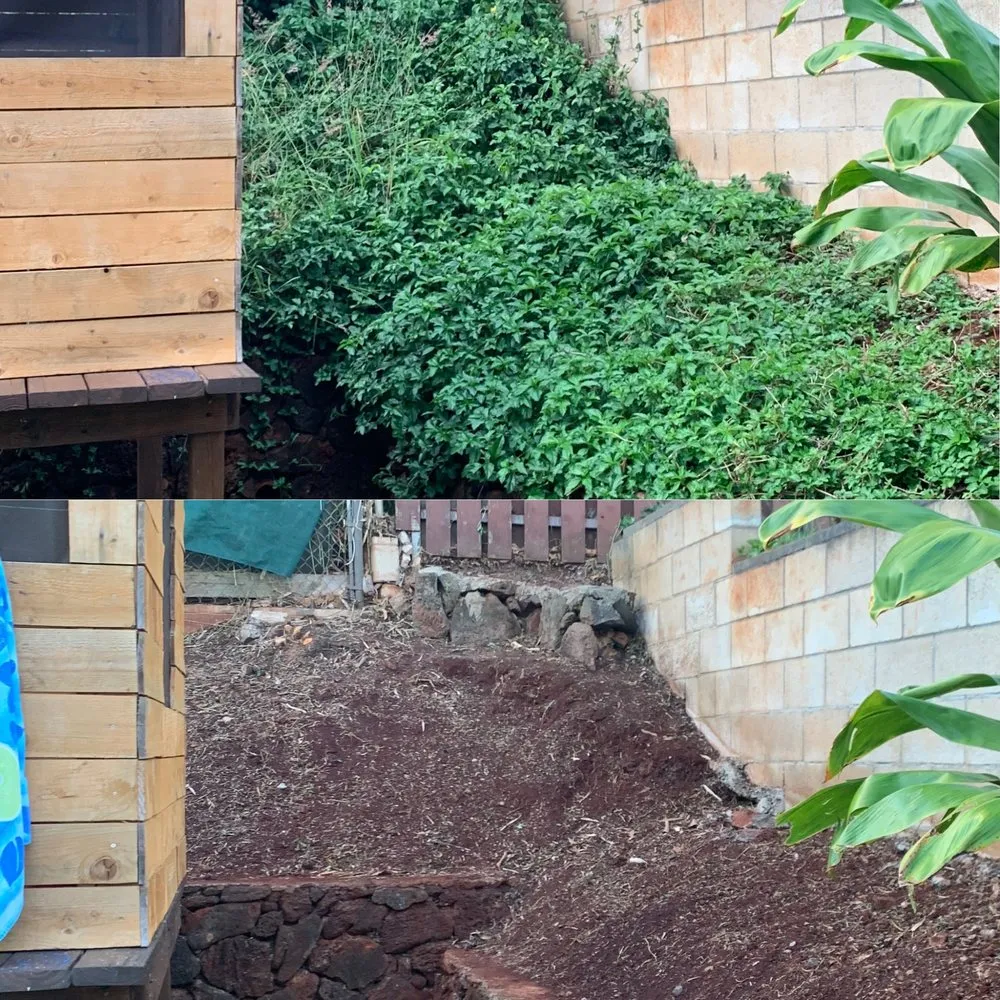 Trusted outdoor landscaping experts serving Ewa Beach, HI - AD's Yard Services