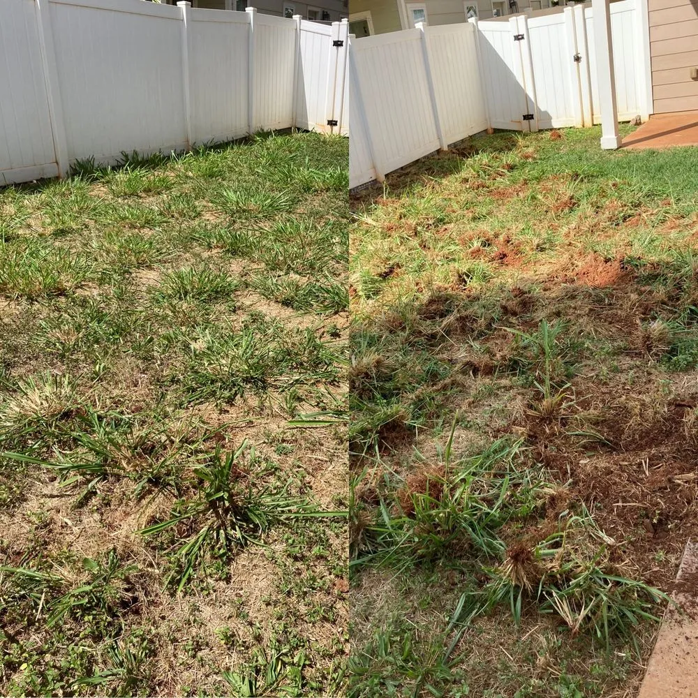 Professional residential landscaping in Ewa Beach, HI - AD's Yard Services