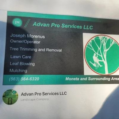 Advan Pro Services Logo