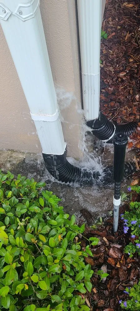 Custom outdoor landscaping for year-round maintenance across Tamp, FL - Advance Drainage & Turf Solutions