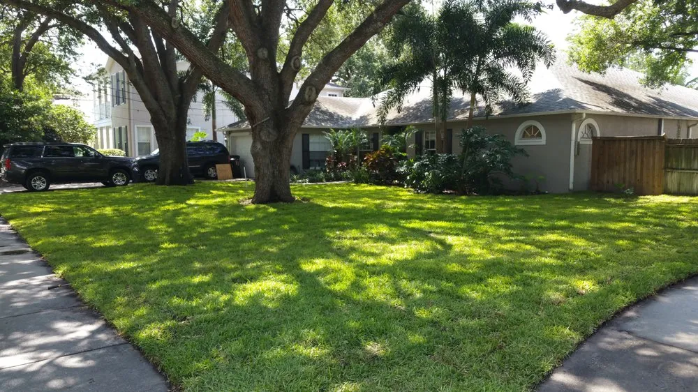 Professional yard cleanup service in Tamp, FL by Advance Drainage & Turf Solutions