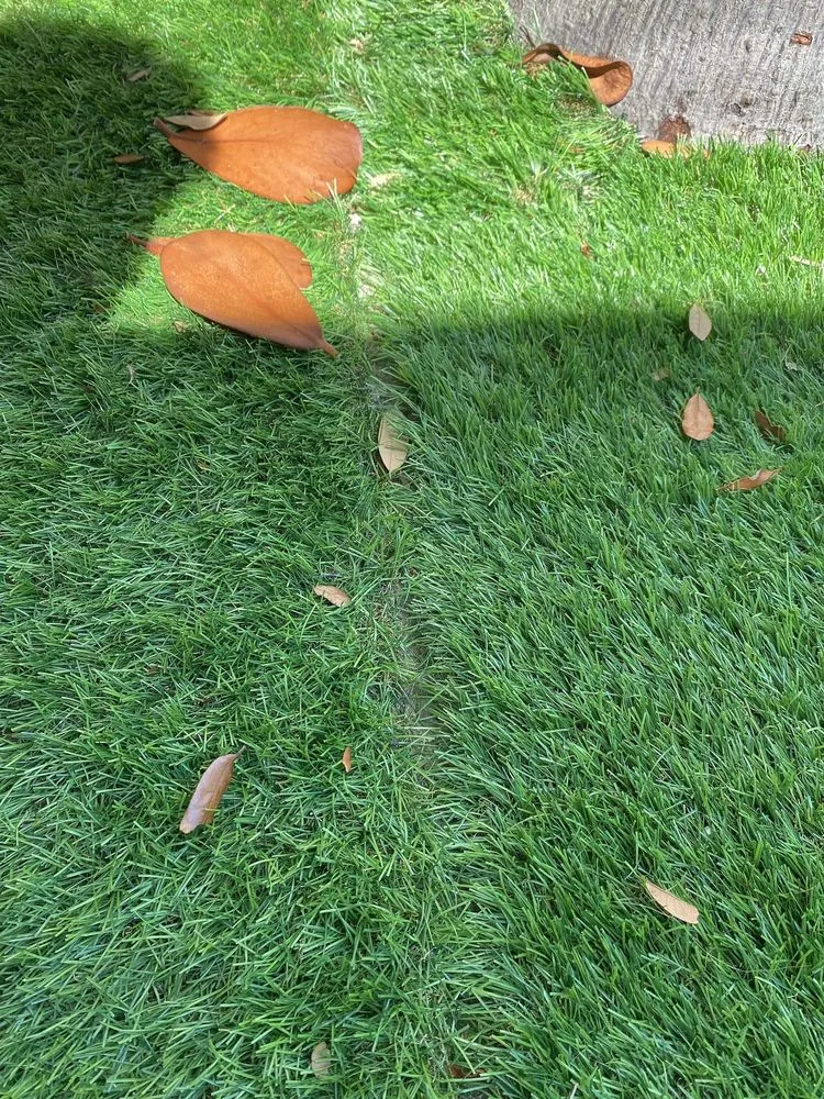 Expert landscape installation with custom design across Tamp, FL - Advance Drainage & Turf Solutions