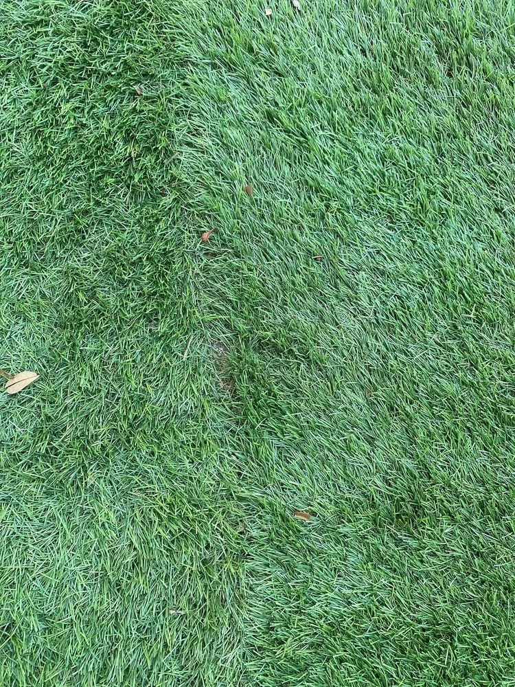 Expert residential landscaping in Tamp, FL - Advance Drainage & Turf Solutions