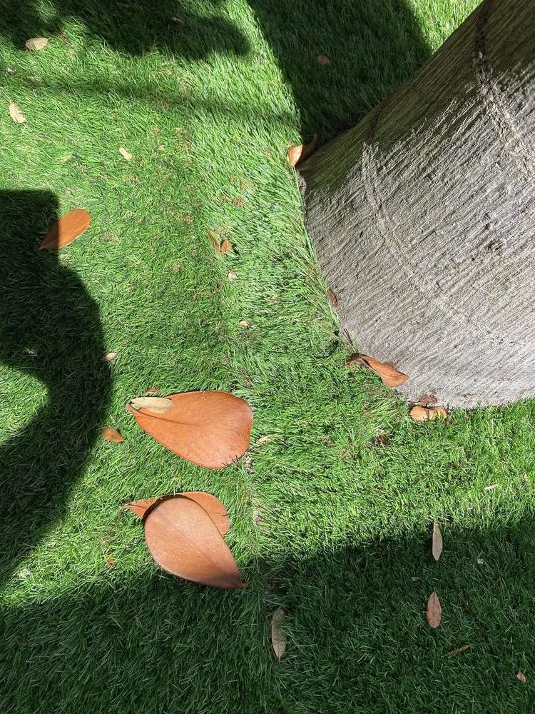 Local lawn care service in Tamp, FL - Advance Drainage & Turf Solutions