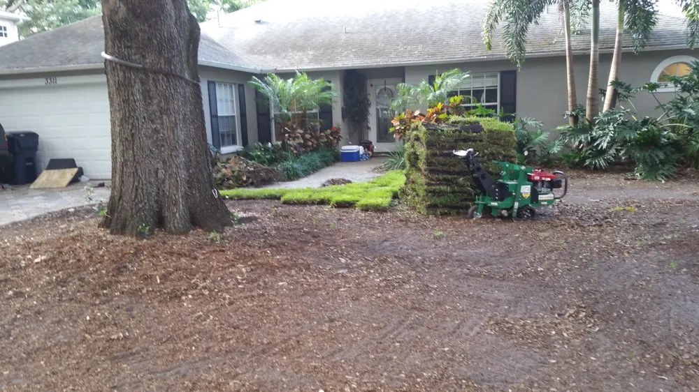 Top-rated yard maintenance near you in Tamp, FL by Advance Drainage & Turf Solutions