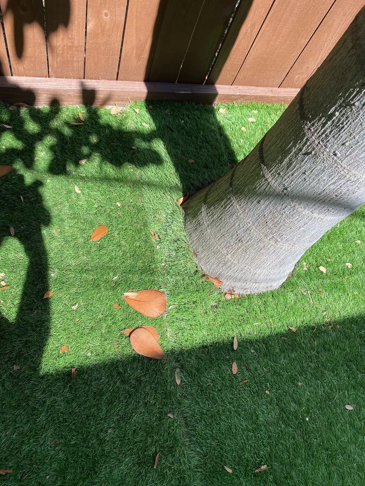 Expert yard maintenance for beautiful yards across Tamp, FL - Advance Drainage & Turf Solutions