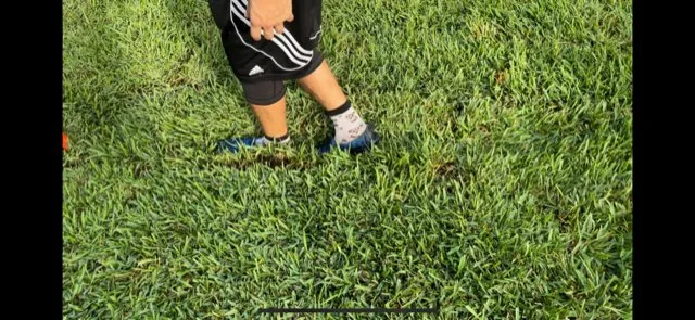 Expert yard cleanup service for year-round maintenance across Tamp, FL - Advance Drainage & Turf Solutions