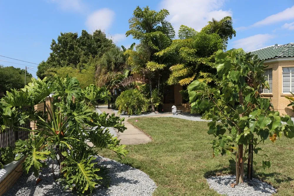 Top-rated garden landscaping experts serving Tamp, FL - Advance Drainage & Turf Solutions