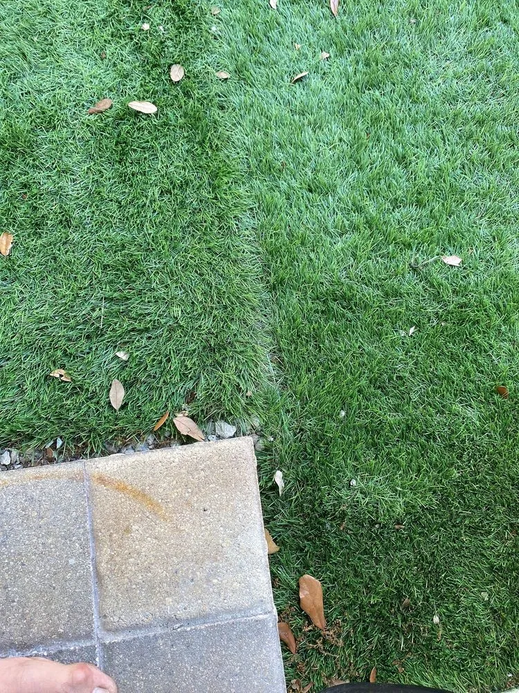 Reliable landscape design for beautiful yards in Tamp, FL by Advance Drainage & Turf Solutions