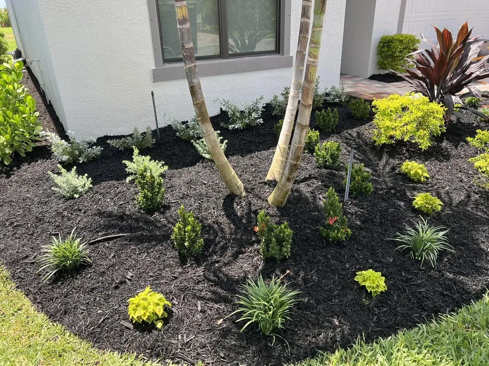 Affordable residential landscaping in Lehigh Acres, FL - Advance Green Lawn Care