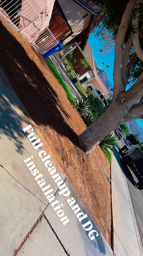 Top-rated residential landscaping in Palm Desert, CA by Advance Landscape & demo service