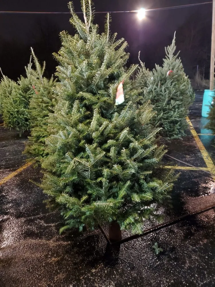 Top-rated outdoor landscaping experts serving Milwaukee, WI - Advance Landscape Center