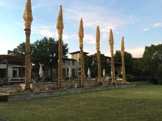 Advance Landscape Designs Logo