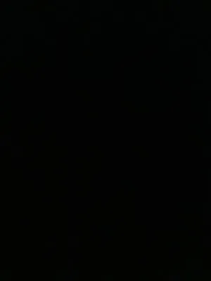 Advance Lawn Care Logo