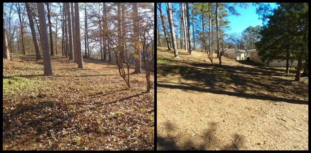 Professional landscape design in Bonnerdale, AR - Advance Lawn care