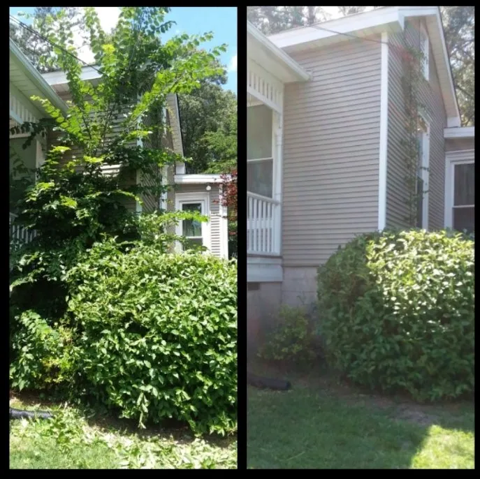Professional lawn care service in Bonnerdale, AR - Advance Lawn care
