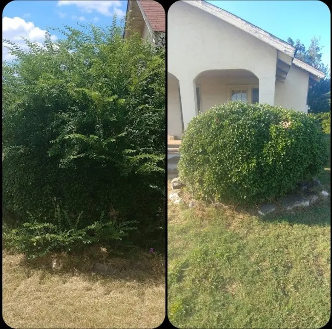 Expert landscaping services in Bonnerdale, AR by Advance Lawn care