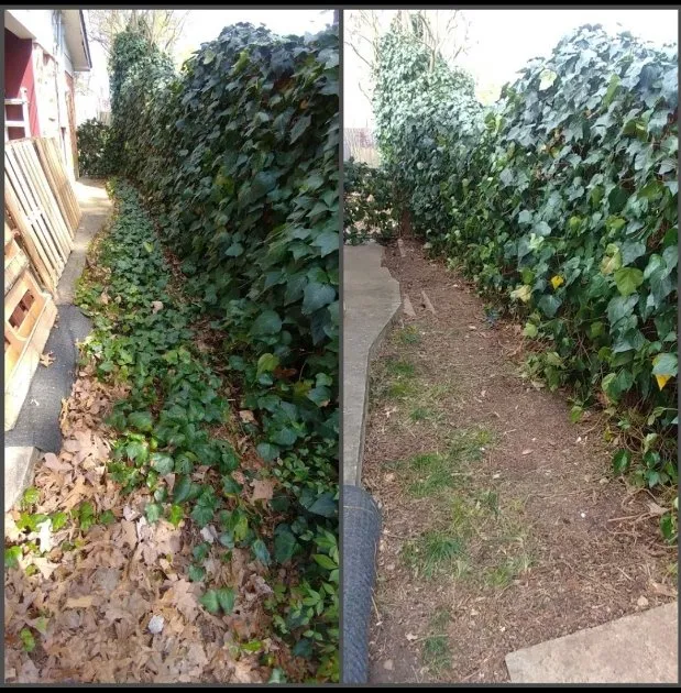 Local lawn care service for year-round maintenance in Bonnerdale, AR by Advance Lawn care