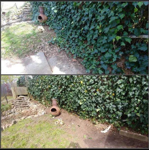 Professional outdoor landscaping for homes across Bonnerdale, AR - Advance Lawn care