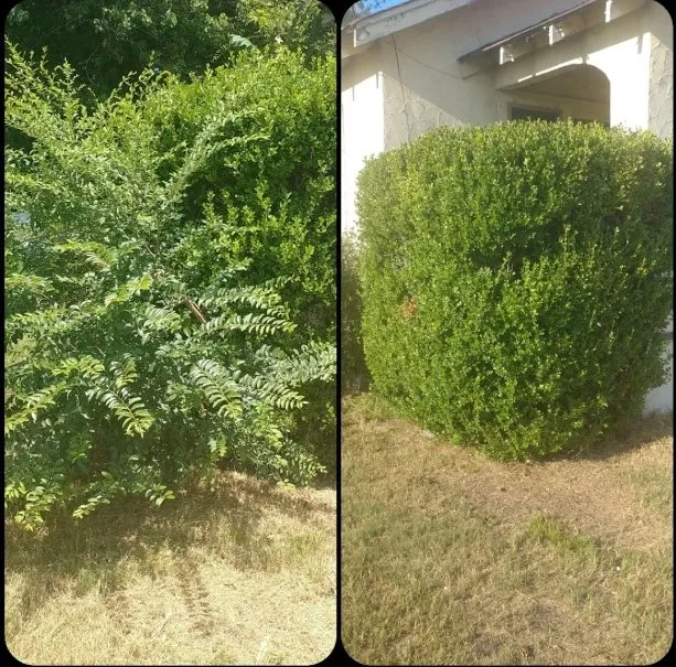 Professional lawn mowing service for outdoor upgrades across Bonnerdale, AR - Advance Lawn care