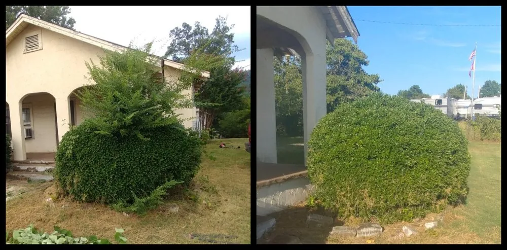 Top-rated garden landscaping experts serving Bonnerdale, AR - Advance Lawn care