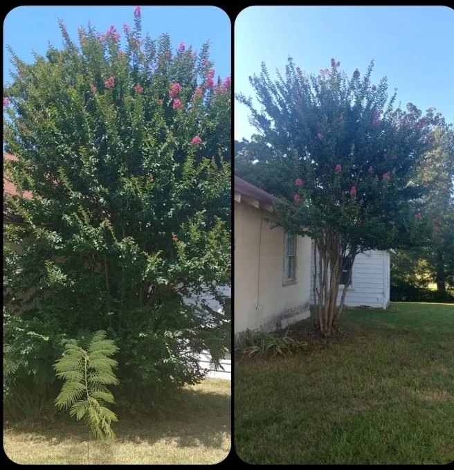 Professional lawn care service in Bonnerdale, AR - Advance Lawn care