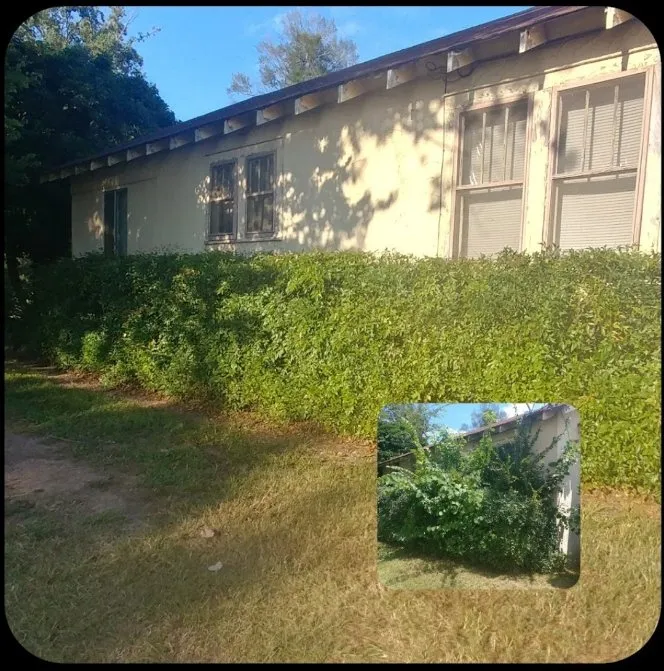 Professional yard maintenance for beautiful yards in Bonnerdale, AR by Advance Lawn care