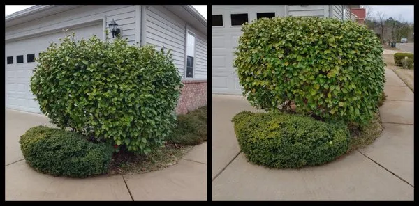 Advance Lawn care