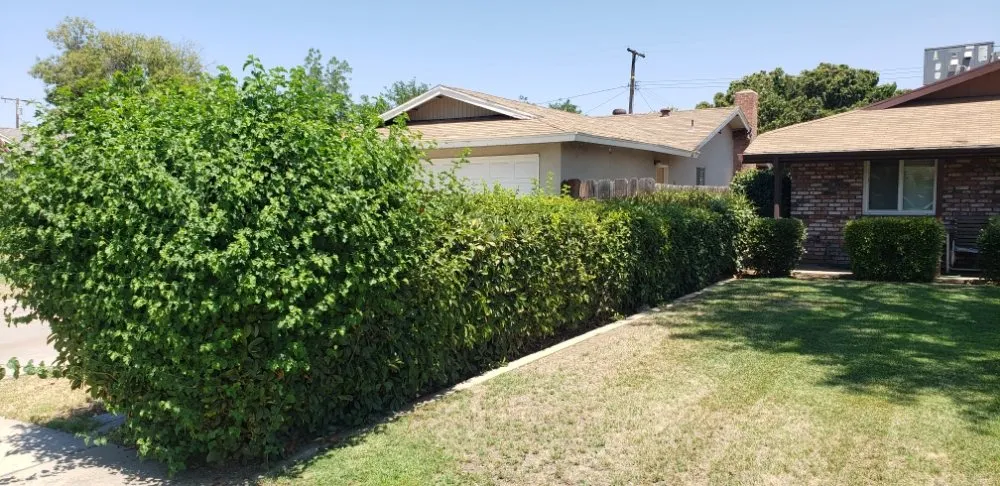 Reliable residential landscaping for beautiful yards in Visalia, CA by Advance Lawn Care