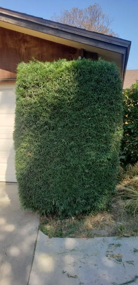 Professional garden landscaping experts serving Visalia, CA - Advance Lawn Care