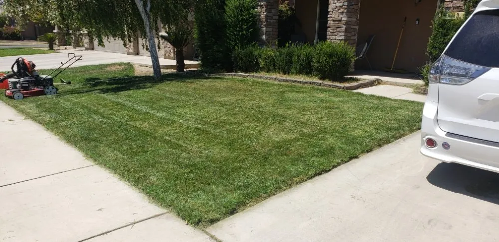 Top-rated landscape design with custom design across Visalia, CA - Advance Lawn Care
