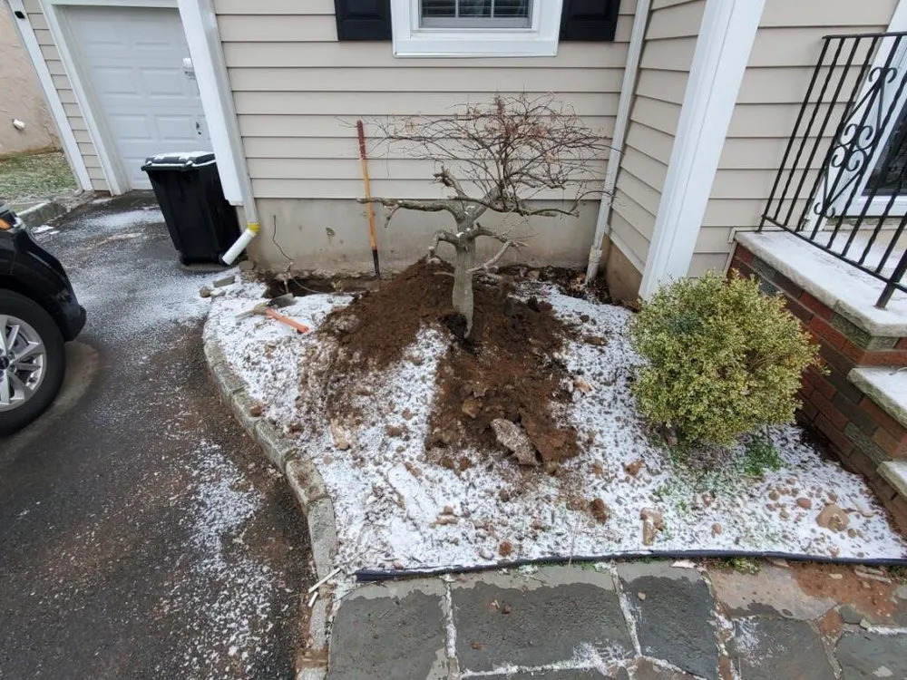 Affordable outdoor landscaping in Passaic, NJ by Advance Restoration