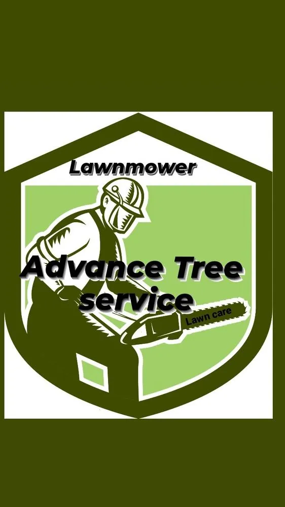 Reliable landscape design with custom design across Ontario, CA - Advance Trees Service
