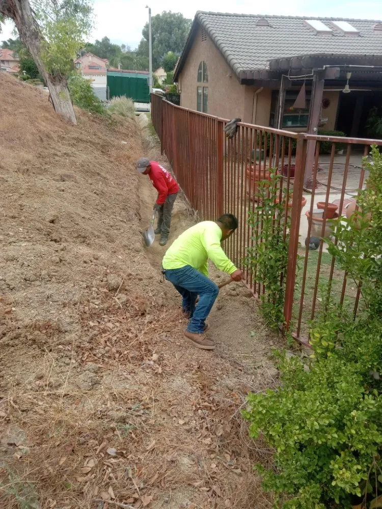 Custom landscaping services in Ontario, CA - Advance Trees Service