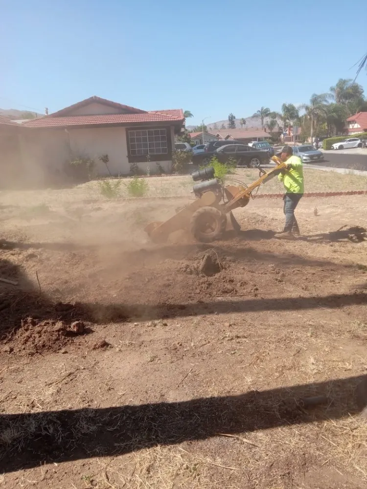 Expert lawn mowing service for outdoor upgrades in Ontario, CA by Advance Trees Service