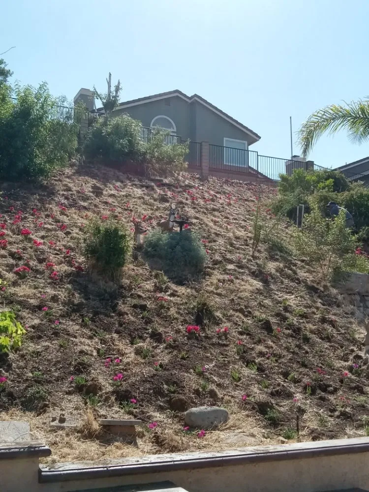 Local residential landscaping with custom design in Ontario, CA by Advance Trees Service