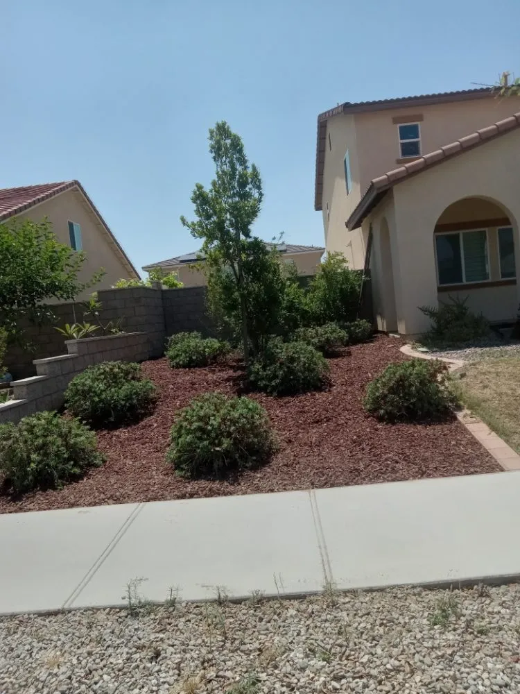 Top-rated lawn care service in Ontario, CA by Advance Trees Service